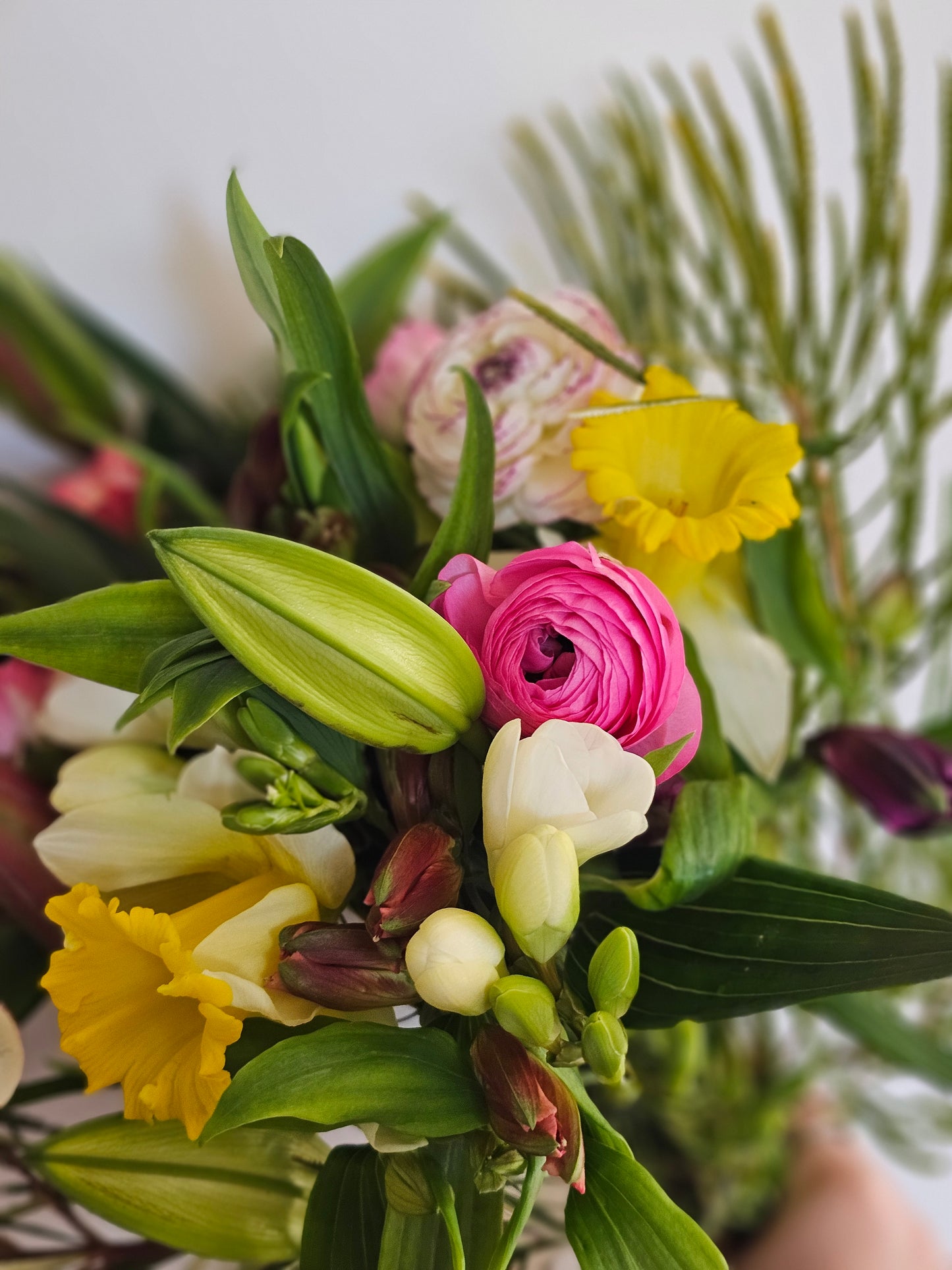 Subscription - Every Fortnight Delivery